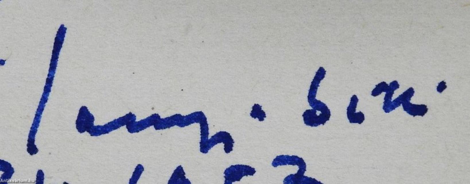 A hazug katona (dedikált példány)