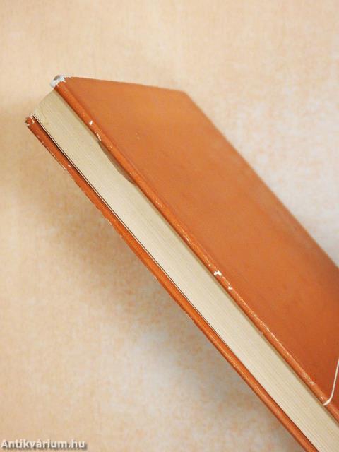 Őszi divertimento (dedikált példány)