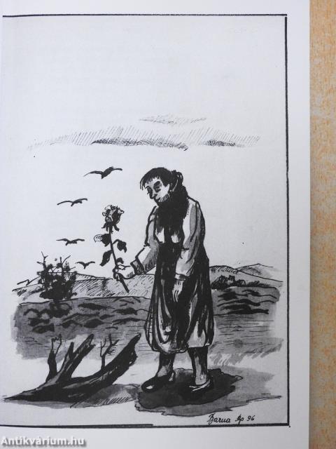 Múlt és jelen (dedikált és aláírt példány)