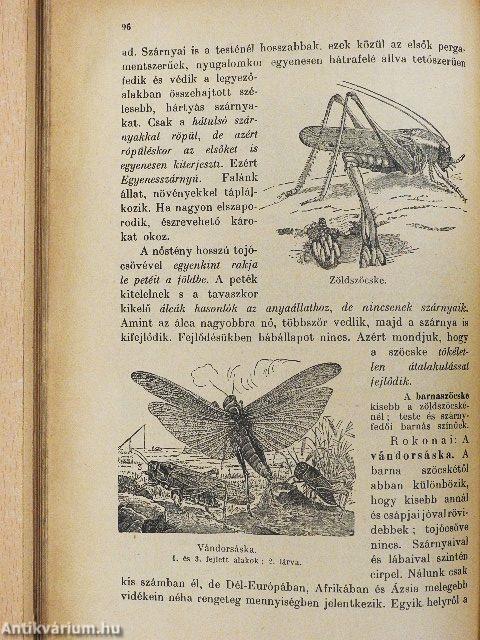 Növénytan és állattan