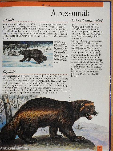 Észak-Ázsia állatvilága