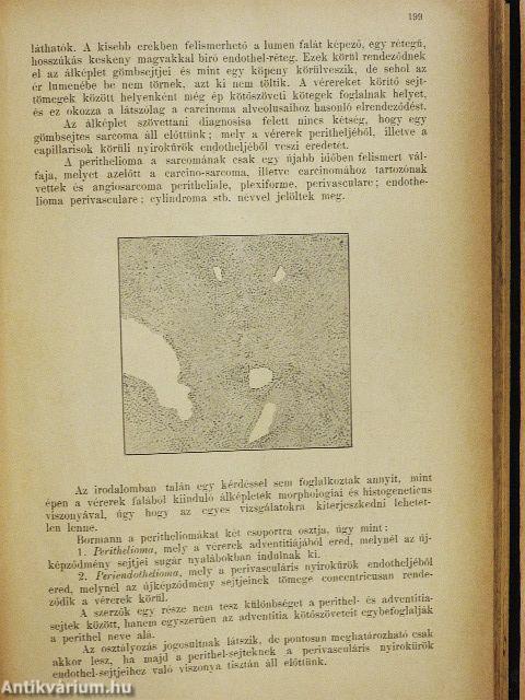 Gynaekologia 1904. julius 3./Gynaekologia 1905. április 2.