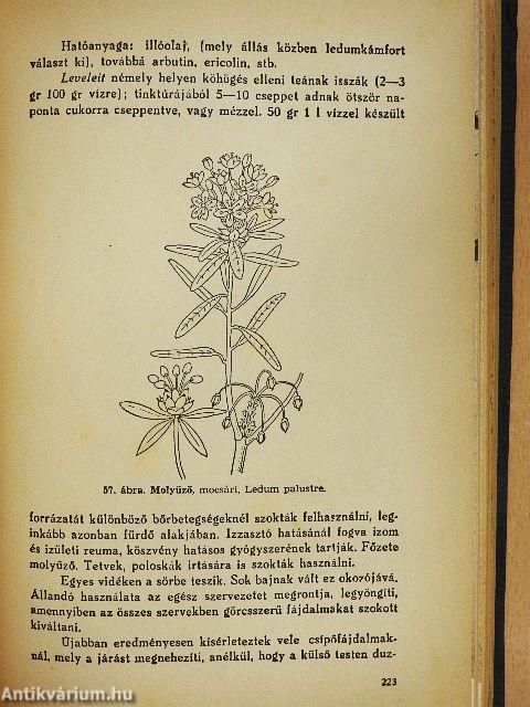 Gyógynövények gyógyhatásai