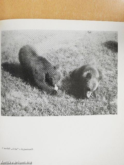 Erdőn, mezőn, vadvizeken