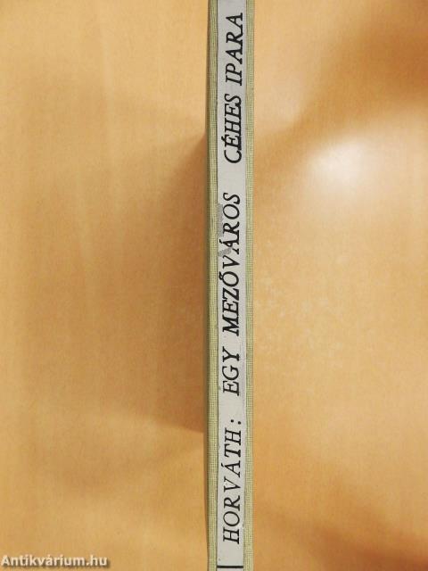 Egy mezőváros céhes ipara (dedikált példány)