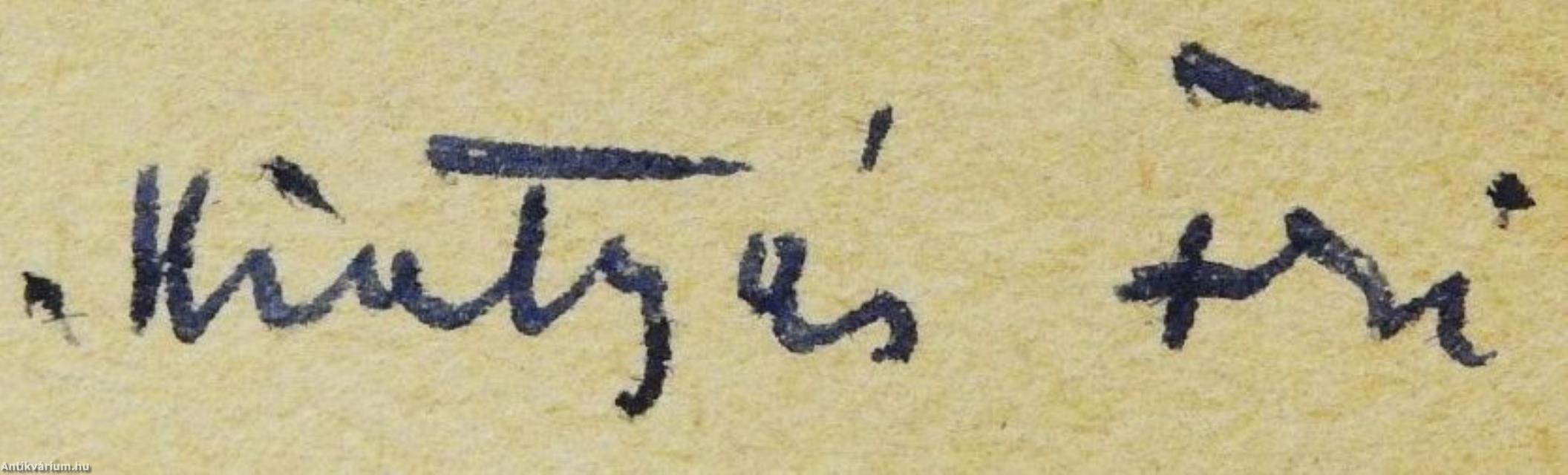 A falu küldöttje (dedikált példány)