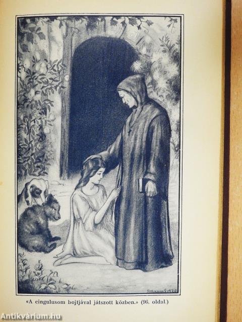 Velencések (dedikált példány)