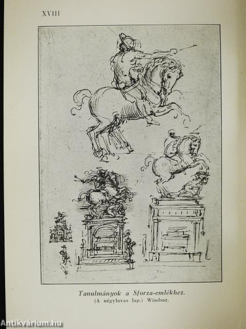 Leonardo da Vinci (dedikált példány)