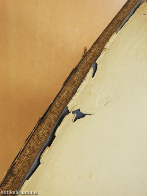 Zsigmond király honvédelmi politikája (dedikált példány)