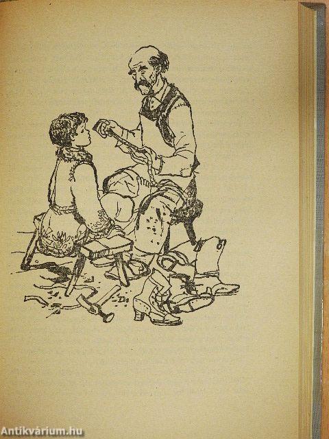 Kincskereső kisködmön/Mindenki Jánoskája