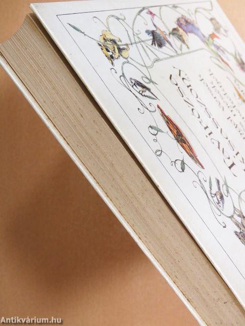 Tavirózsa kisasszony