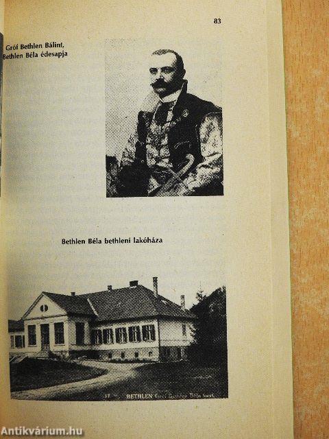 Észak-Erdély kormánybiztosa voltam