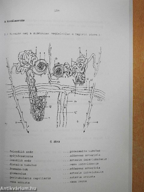 Élettan-kórélettan