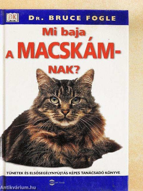 Mi baja a macskámnak?