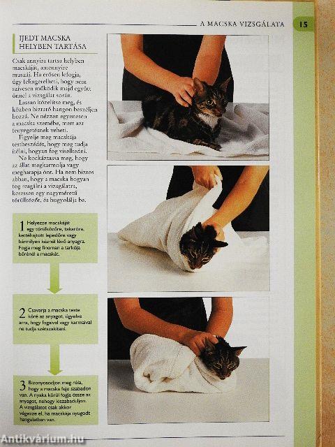 Mi baja a macskámnak?