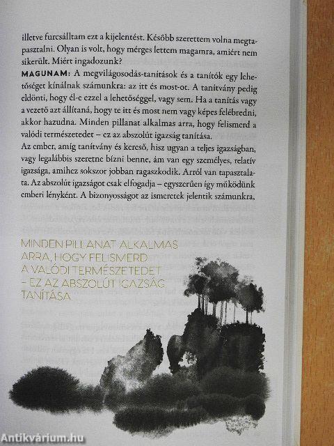 Te és a megvilágosodás