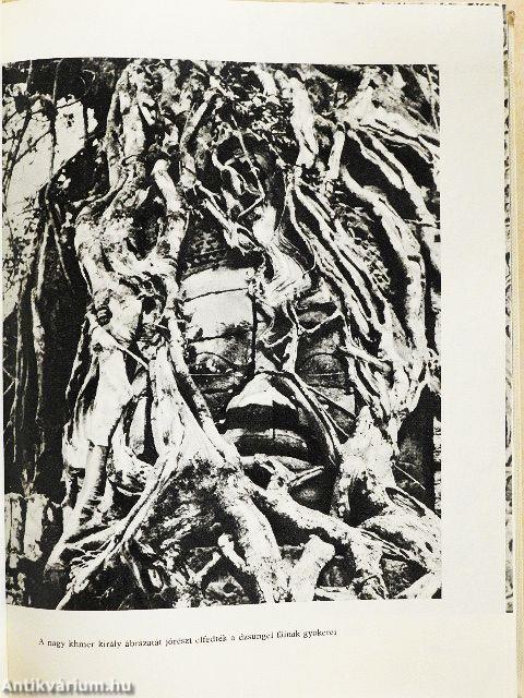 Fiúk Évkönyve 1966