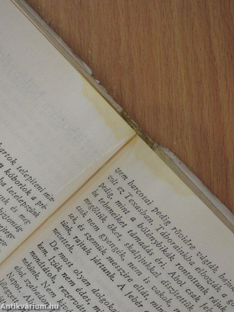 A Vadnyugat története indián szemmel