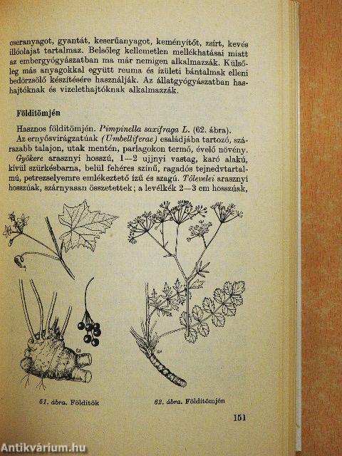 Gyógyító növények