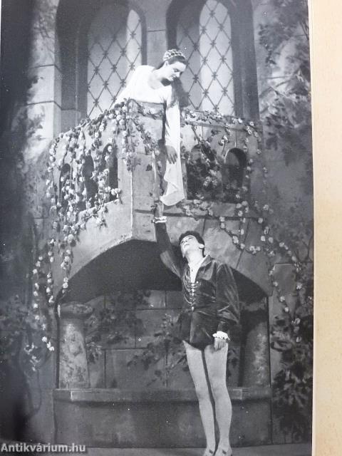 Tollal (dedikált példány)