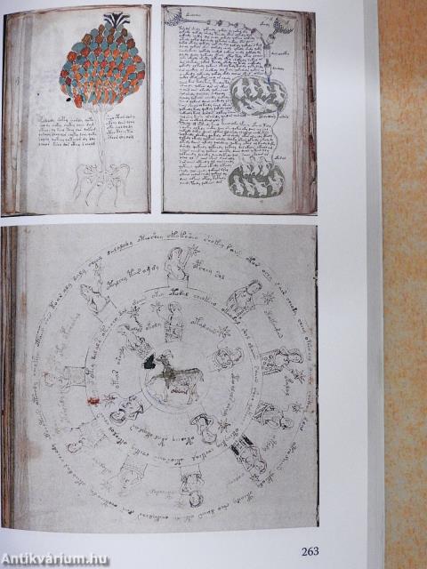 Konteó 1 (dedikált példány)