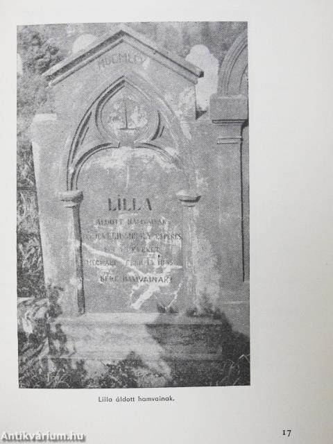 Csokonai és Lilla emlékek Komárom megyében (dedikált példány)