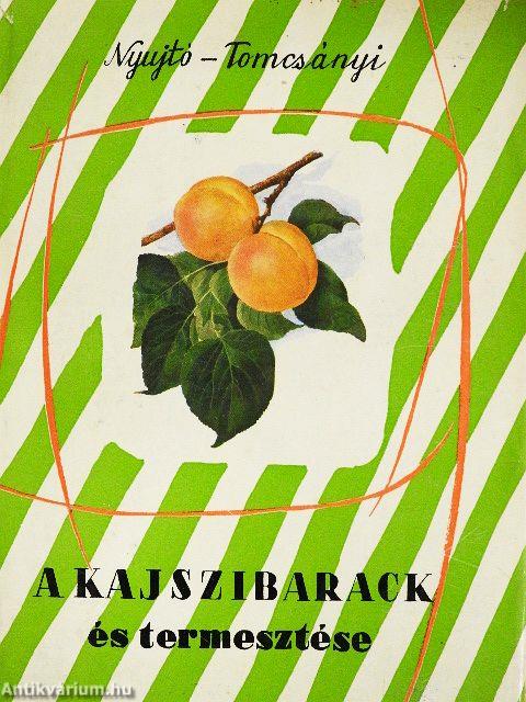 A kajszibarack és termesztése