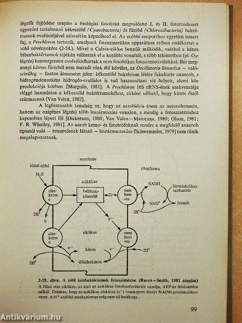 Az evolúció frontvonalai