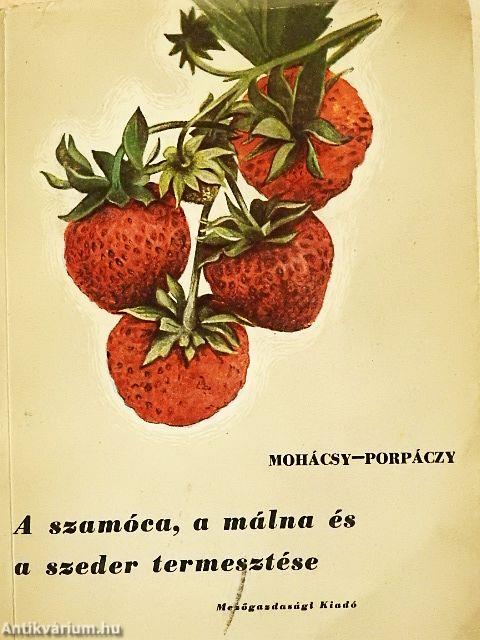 A szamóca, a málna és a szeder termesztése