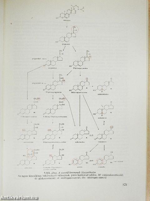 Orvosi élettan 1-2.