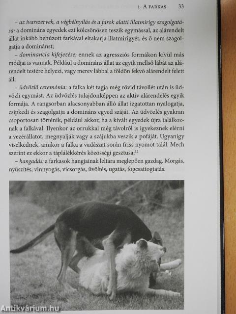 A kutyák szőrös gyerekek (dedikált példány)