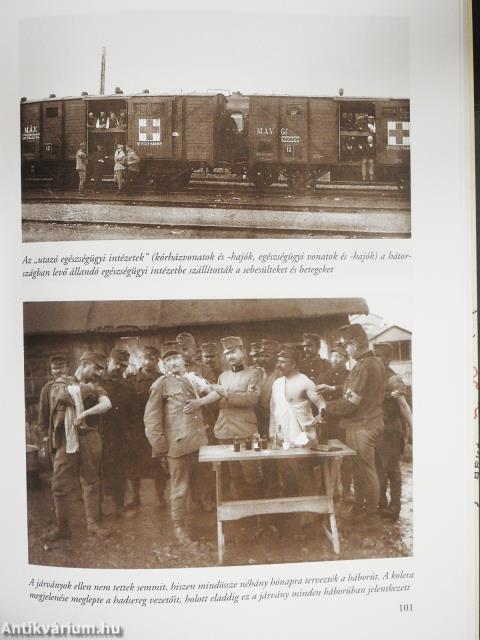 Fényes szurony, rózsafa a nyele... (dedikált példány)