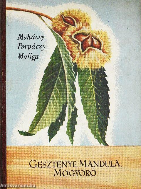 Gesztenye, mandula, mogyoró