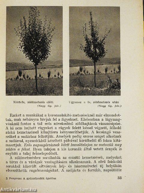 A gyümölcsfák ápolása