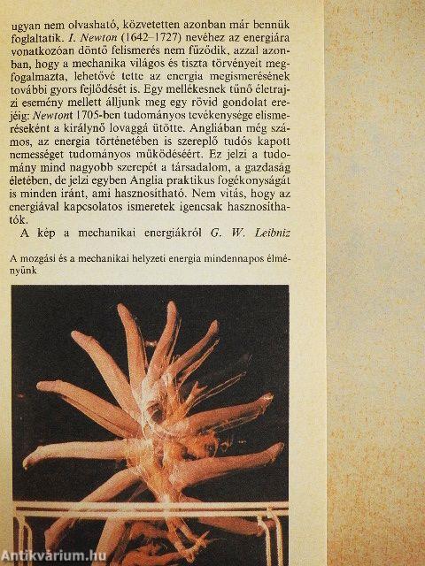 Volt rá energiánk, lesz rá energiánk?