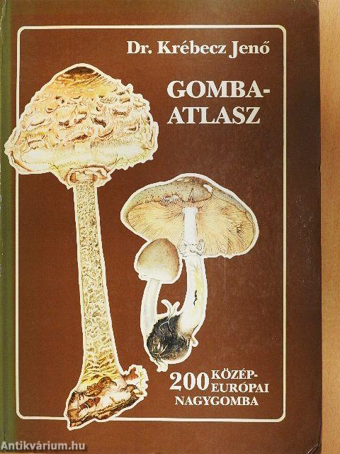 Gombaatlasz