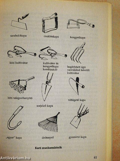 Nagy öröm a kiskert!