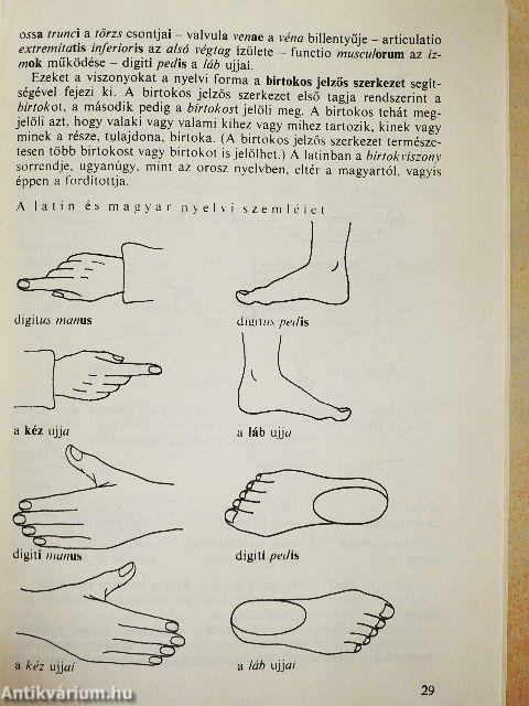 Orvosi latin nyelvi alapismeretek