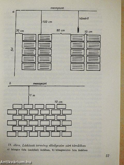 Zöldségfélék tárolása