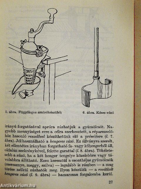 Gyümölcslevek házi készítése