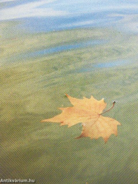 A szeretet új pünkösdje