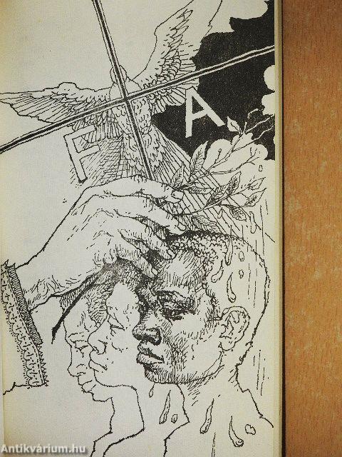 Feketék és fehérek