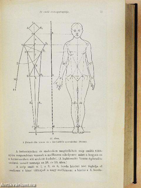 A tejelválasztás és szoptatás élet- és kórtanának kézikönyve