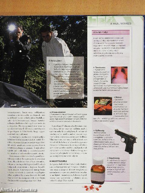 Tettesek és tetthelyek