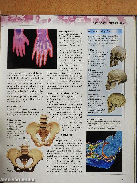 Tettesek és tetthelyek