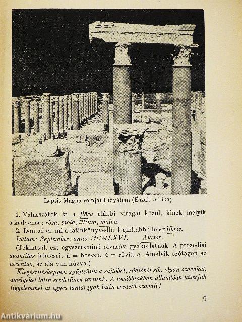 Latin nyelvkönyv I.