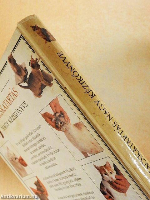 A macskatartás nagy kézikönyve