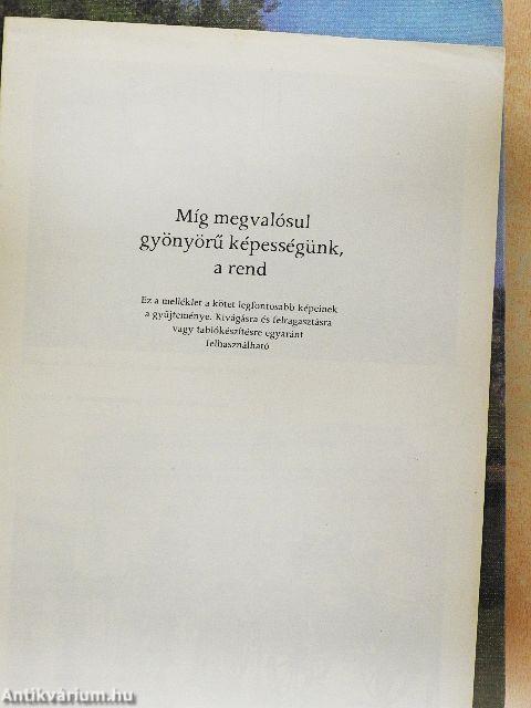 Míg megvalósul gyönyörű képességünk a rend