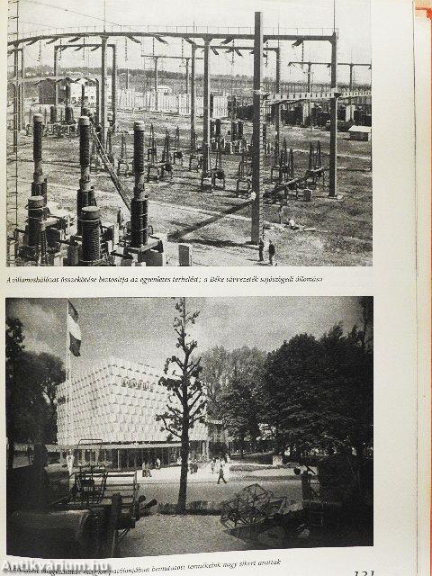 Míg megvalósul gyönyörű képességünk a rend