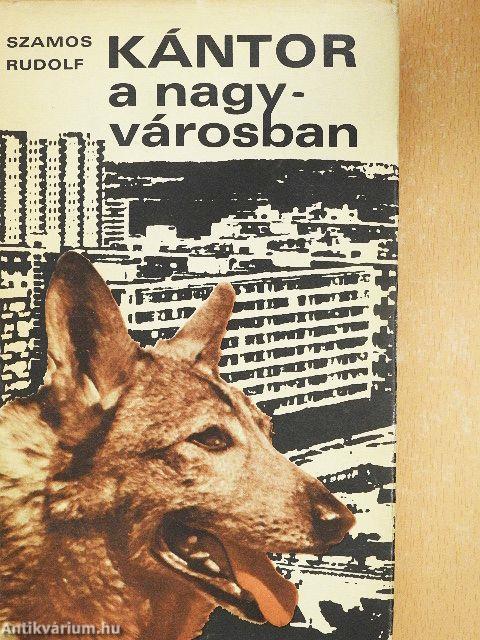 Kántor a nagyvárosban